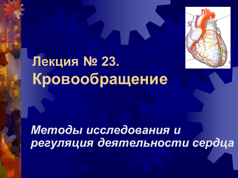 Лекция № 23. Кровообращение Методы исследования и регуляция деятельности сердца